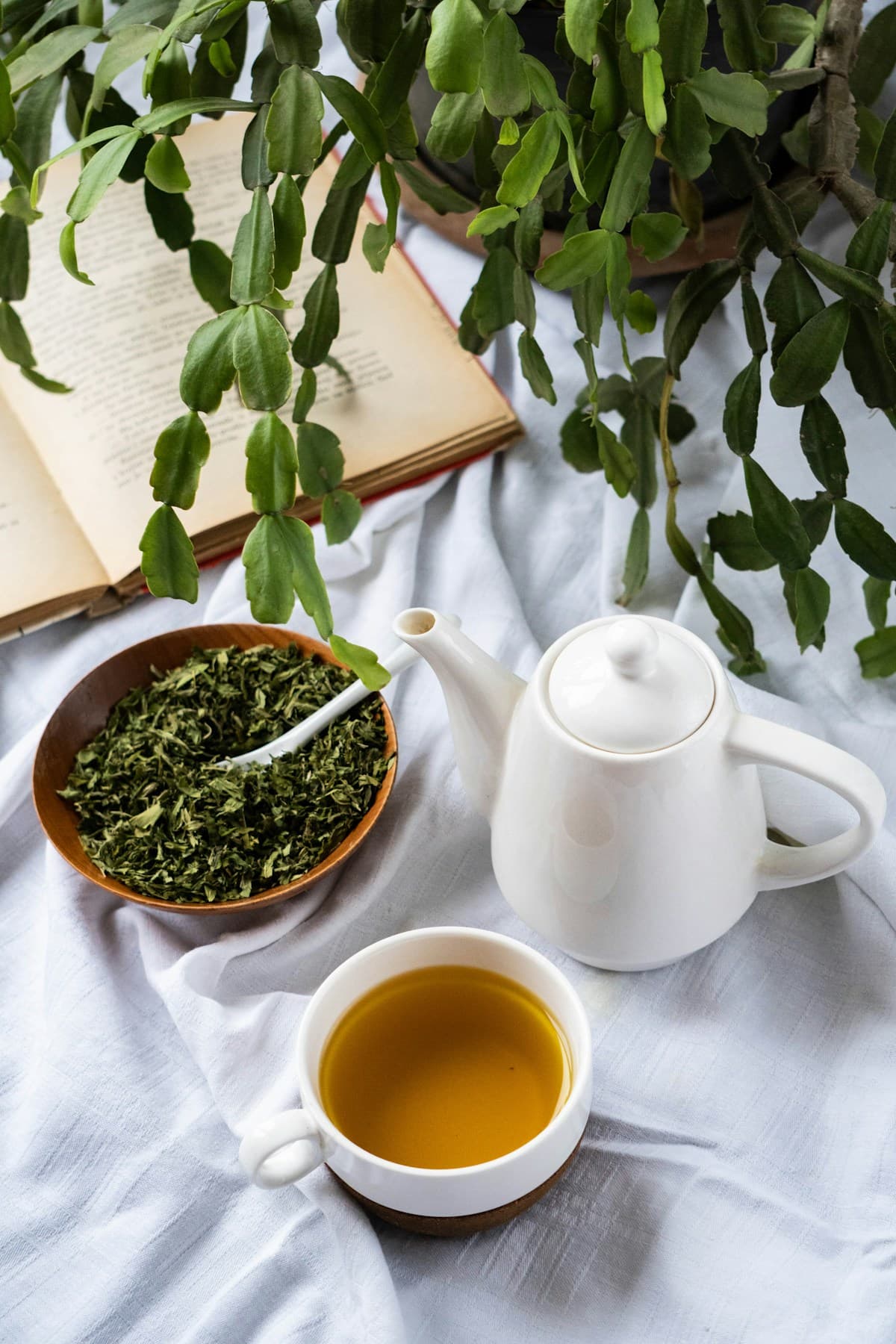 A warm cup of herbal tea on white linen beside a wooden bowl of dried tea leaves and an open book, with soft daylight filtering through plants above.
